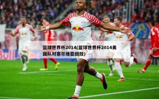 篮球世界杯2014(篮球世界杯2014美国队对塞尔维亚回放)