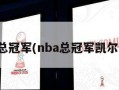 nba总冠军(nba总冠军凯尔特人)