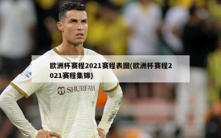 欧洲杯赛程2021赛程表图(欧洲杯赛程2021赛程集锦)