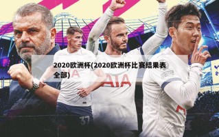 2020欧洲杯(2020欧洲杯比赛结果表全部)