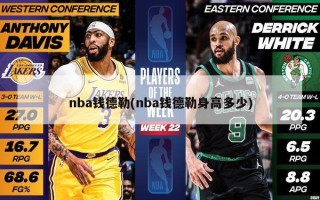 nba钱德勒(nba钱德勒身高多少)