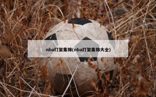 nba打架集锦(nba打架集锦大全)