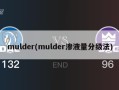 mulder(mulder渗液量分级法)