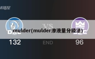 mulder(mulder渗液量分级法)