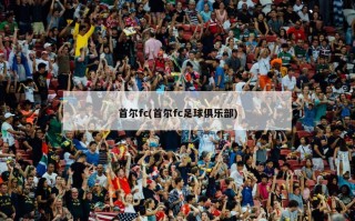 首尔fc(首尔fc足球俱乐部)