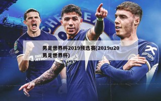 男足世界杯2019预选赛(2019u20男足世界杯)