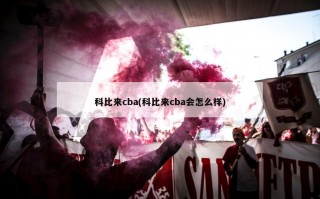 科比来cba(科比来cba会怎么样)