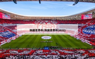 韩国世界杯(韩国世界杯2022)