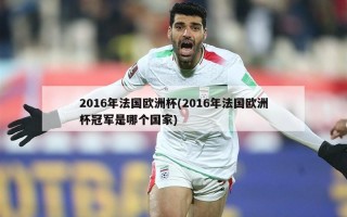 2016年法国欧洲杯(2016年法国欧洲杯冠军是哪个国家)