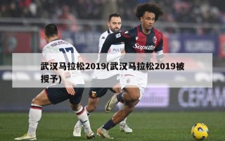 武汉马拉松2019(武汉马拉松2019被授予)