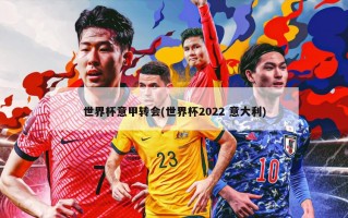 世界杯意甲转会(世界杯2022 意大利)