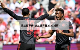 波兰世界杯(波兰世界杯2022成绩)